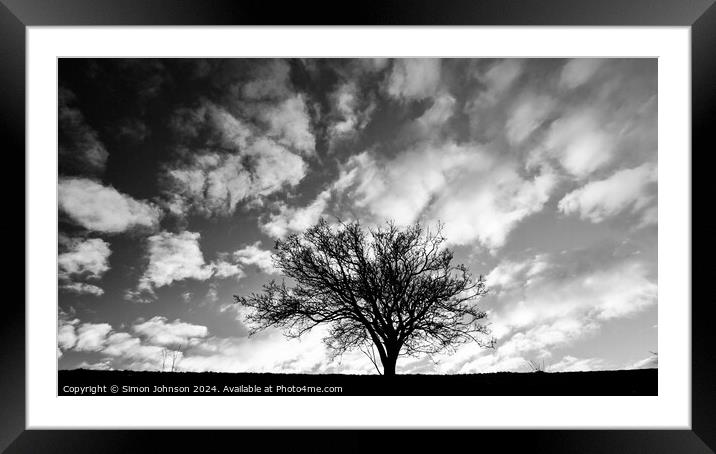 Tree Silhouette  Framed Mounted Print by Simon Johnson