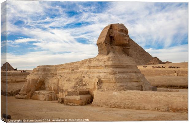 Great Sphinx of Giza Canvas Print by Tony Davis