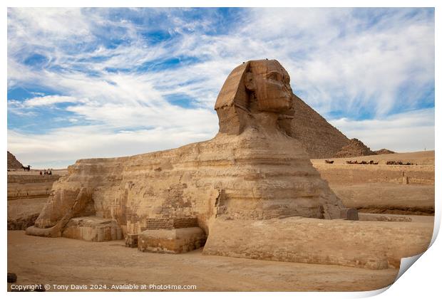 Great Sphinx of Giza Print by Tony Davis