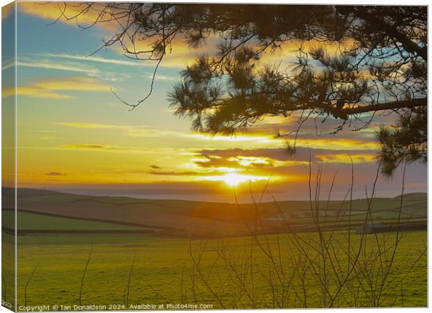 Devon Sunset Canvas Print by Ian Donaldson