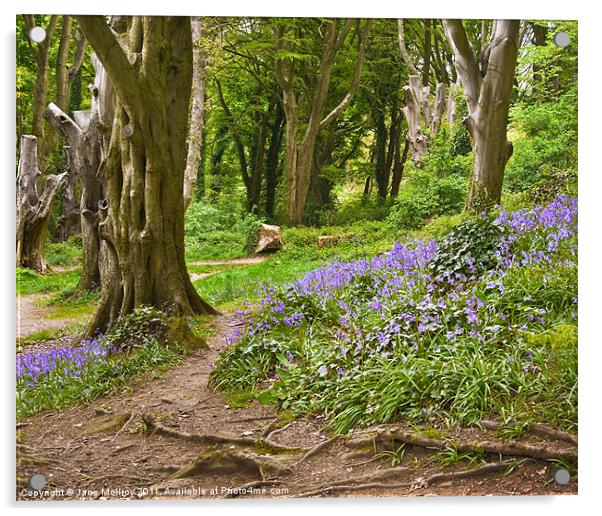 Bluebell Woods, Newtownards, County Down Acrylic by Jane McIlroy