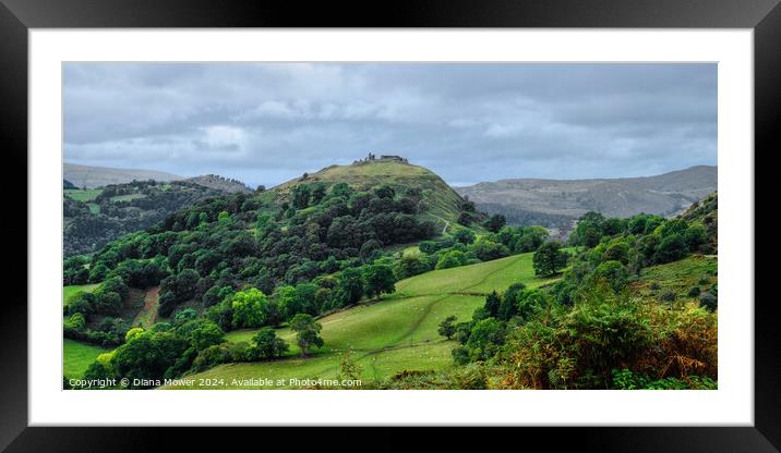 Castell Dinas Bran Panoramic  Framed Mounted Print by Diana Mower