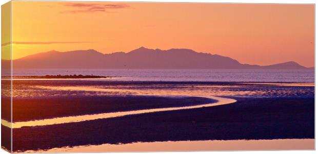 Ayr beach sunset Canvas Print by Allan Durward Photography