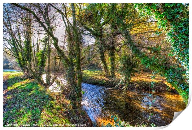 Ambling River Bovey Dartmoor Print by David Pyatt