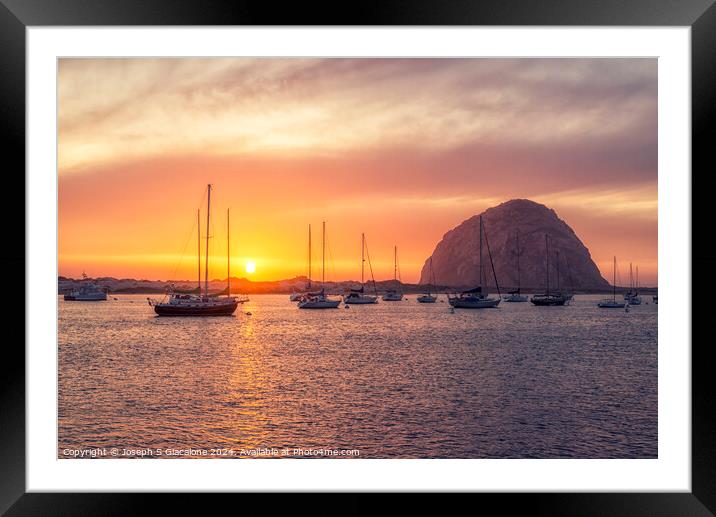Bright Orange In Morro Bay Framed Mounted Print by Joseph S Giacalone