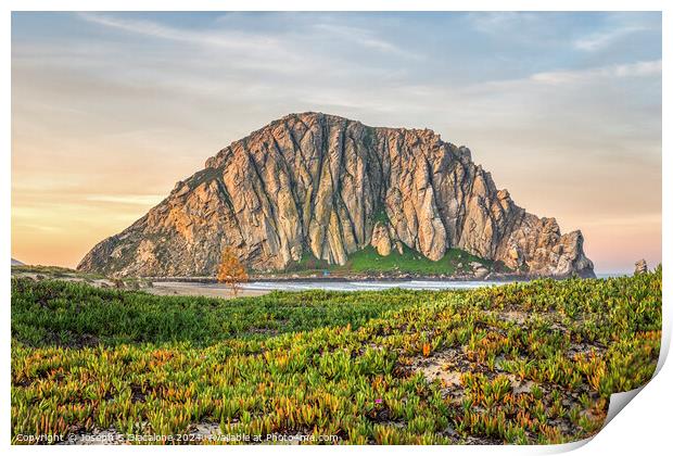 Morro Rock At Rest Print by Joseph S Giacalone