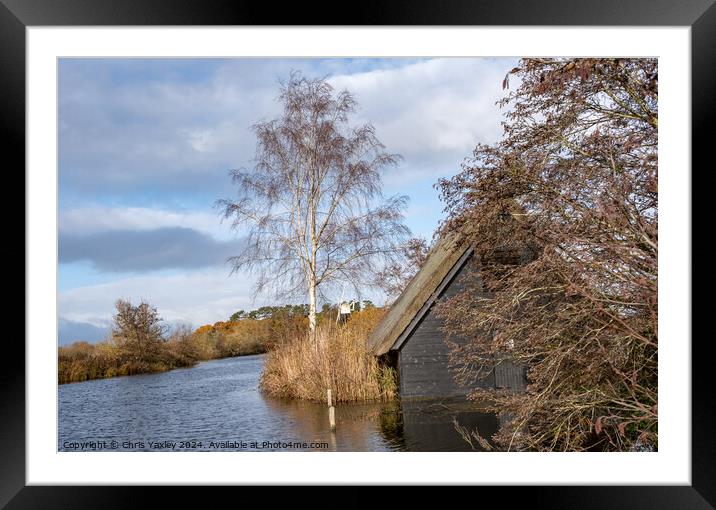 Wooden boat shed on the RIver Ant Framed Mounted Print by Chris Yaxley