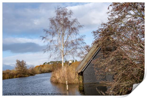 Wooden boat shed on the RIver Ant Print by Chris Yaxley