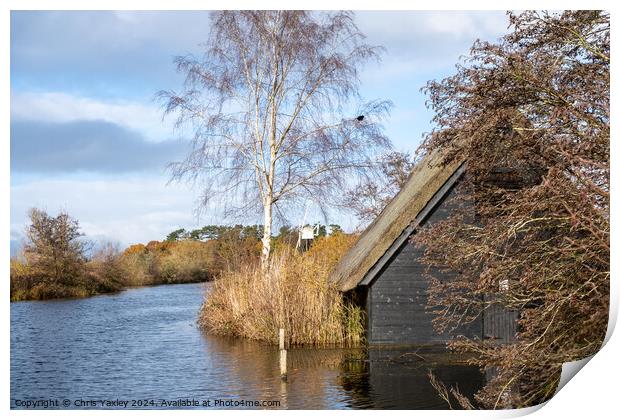 Traditional boat shed on the River Ant, How Hill Print by Chris Yaxley