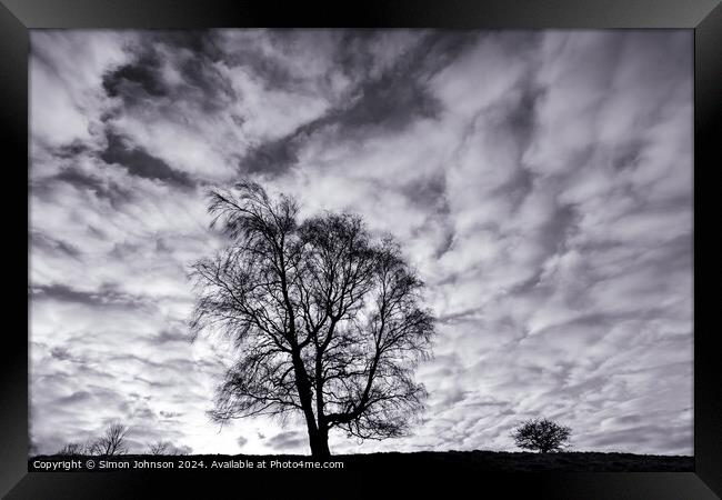 Tree silhouettes  Framed Print by Simon Johnson