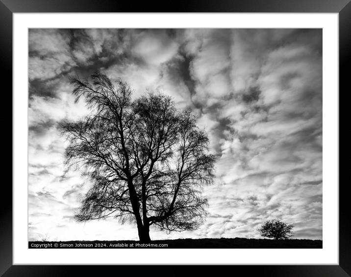 Two tree silhouettes in Monochrome  Framed Mounted Print by Simon Johnson