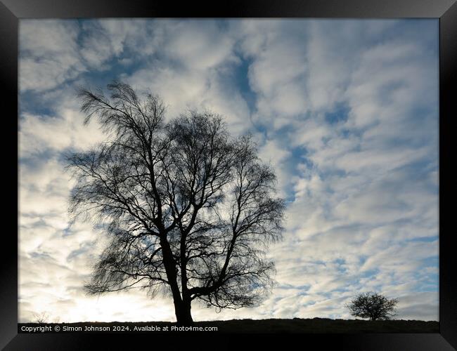 Two tree Silhouettes  Framed Print by Simon Johnson