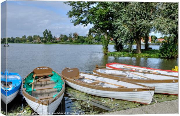 Thorpeness Meare Suffolk Canvas Print by Diana Mower