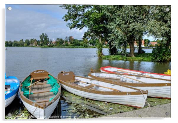 Thorpeness Meare Suffolk Acrylic by Diana Mower
