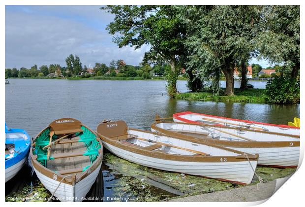 Thorpeness Meare Suffolk Print by Diana Mower