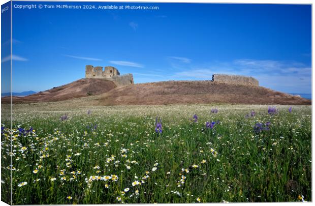 Duffus Castle and Laich of Moray Canvas Print by Tom McPherson