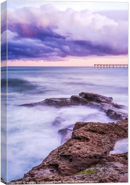 Purple Majesty - San Diego Coast Canvas Print by Joseph S Giacalone