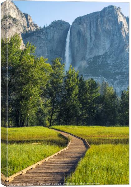 A Path To The Falls Canvas Print by Joseph S Giacalone