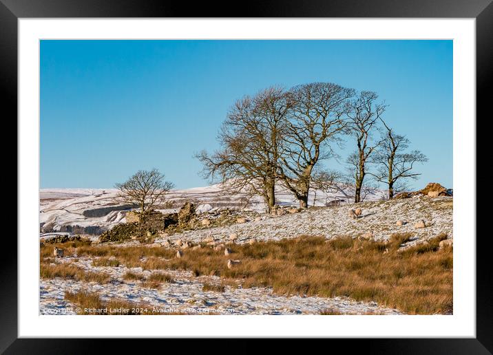 Snowy Toddyshaw Hill, Mickleton, Teesdale Framed Mounted Print by Richard Laidler
