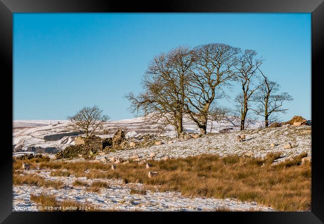 Snowy Toddyshaw Hill, Mickleton, Teesdale Framed Print by Richard Laidler