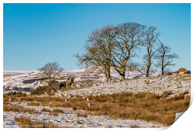 Snowy Toddyshaw Hill, Mickleton, Teesdale Print by Richard Laidler