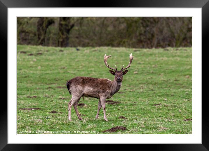 Outdoor grass Framed Mounted Print by Man And Life