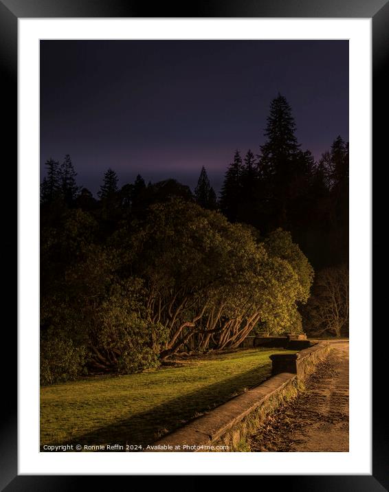 Sidelit Tree Framed Mounted Print by Ronnie Reffin