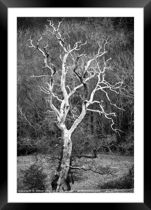 Sunlit tree in monochrome  Framed Mounted Print by Simon Johnson