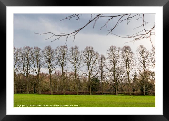 A large green field with trees in the background Framed Mounted Print by Man And Life