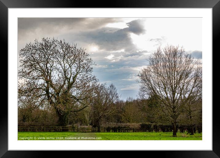 Plant tree Framed Mounted Print by Man And Life
