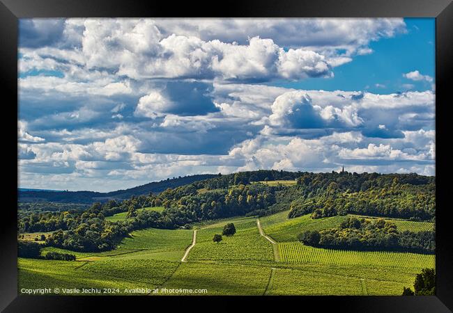 Outdoor grass Framed Print by Man And Life