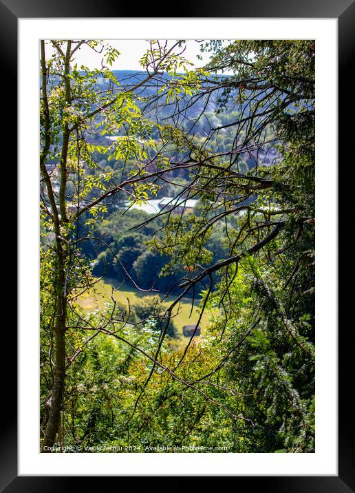 Plant tree Framed Mounted Print by Man And Life