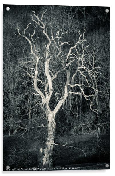 Sunlit tree in monochrome  Acrylic by Simon Johnson
