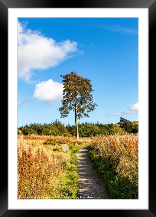 Outdoor field Framed Mounted Print by Man And Life