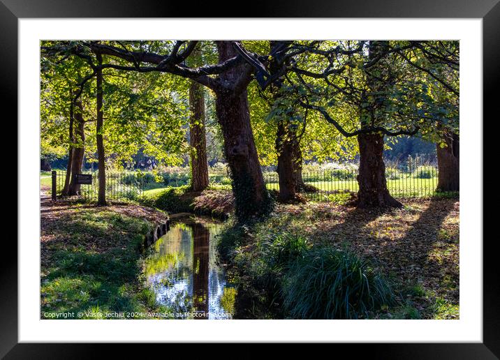 Plant tree Framed Mounted Print by Man And Life