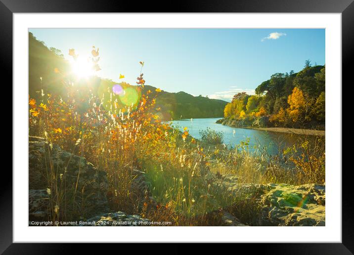 Autumn colorful fall landscape against the light. Photography ta Framed Mounted Print by Laurent Renault