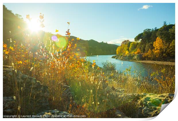 Autumn colorful fall landscape against the light. Photography ta Print by Laurent Renault