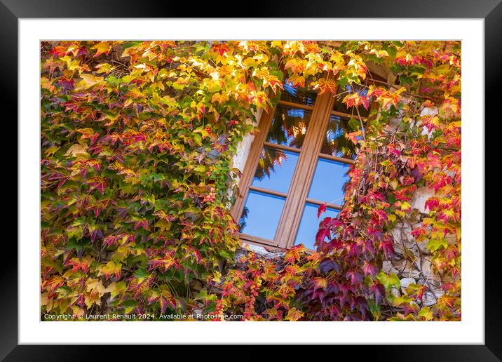 Window surrounded by ivy with autumn facade Framed Mounted Print by Laurent Renault