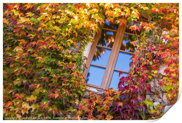 Window surrounded by ivy with autumn facade Print by Laurent Renault