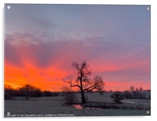 Winter Sunrise  Acrylic by Ian Donaldson