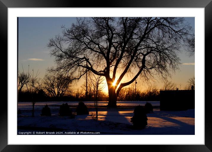 A tree silhouette with the Sun and Snow Framed Mounted Print by Robert Brozek