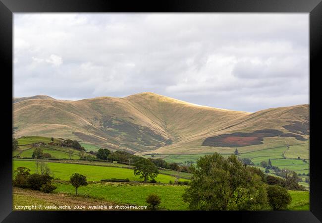 Outdoor grass Framed Print by Man And Life