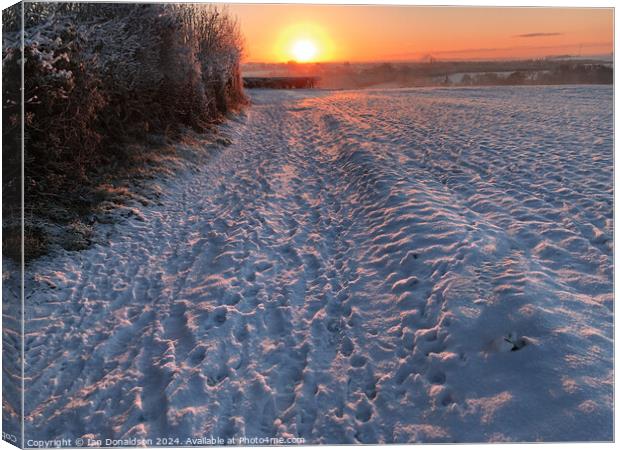 Snowy Sunrise Canvas Print by Ian Donaldson