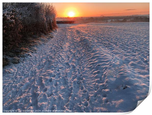 Snowy Sunrise Print by Ian Donaldson