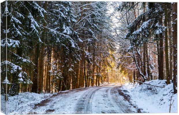 Small country road in winter with sunshine on trees Canvas Print by Sergey Fedoskin