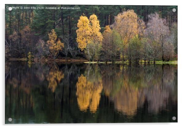 Autumn Reflection Acrylic by John Ellis