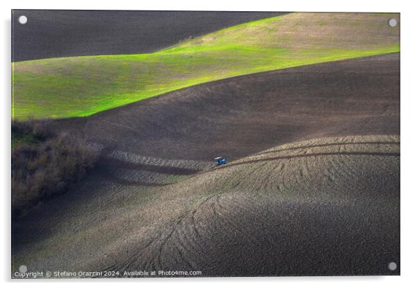 Tractor plowing the fields in Tuscany. Volterra, Italy Acrylic by Stefano Orazzini