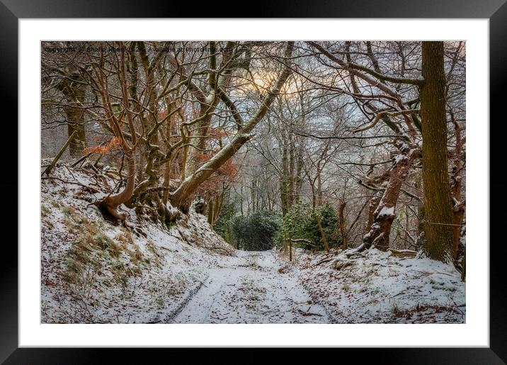 Winter Wonderland in Feniscowles, Blackburn, Lancashire Framed Mounted Print by Shafiq Khan