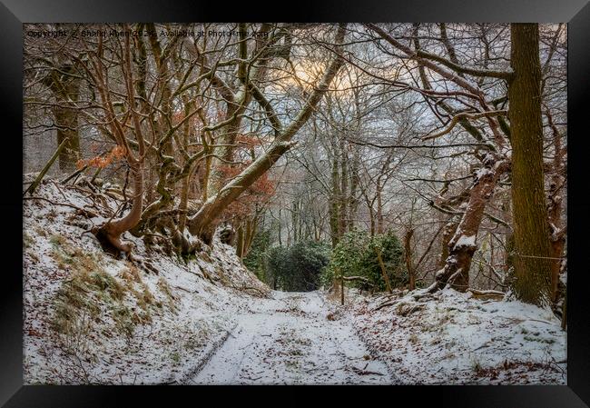 Winter Wonderland in Feniscowles, Blackburn, Lancashire Framed Print by Shafiq Khan