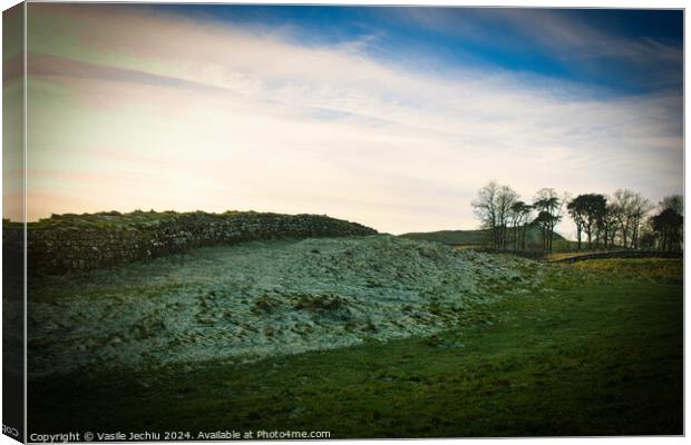 A large green field with trees in the background Canvas Print by Man And Life